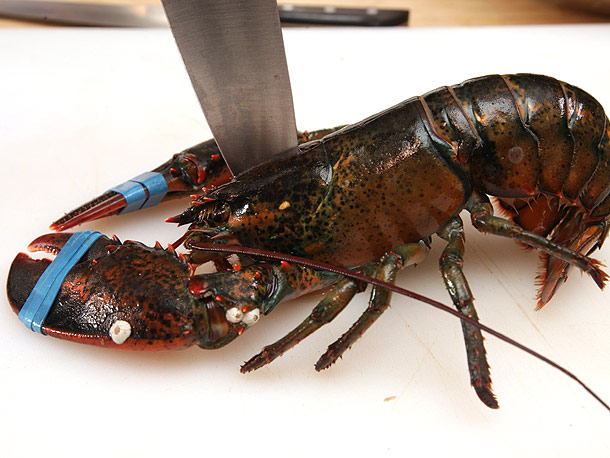 How Long After a Lobster Dies Can You Eat It 