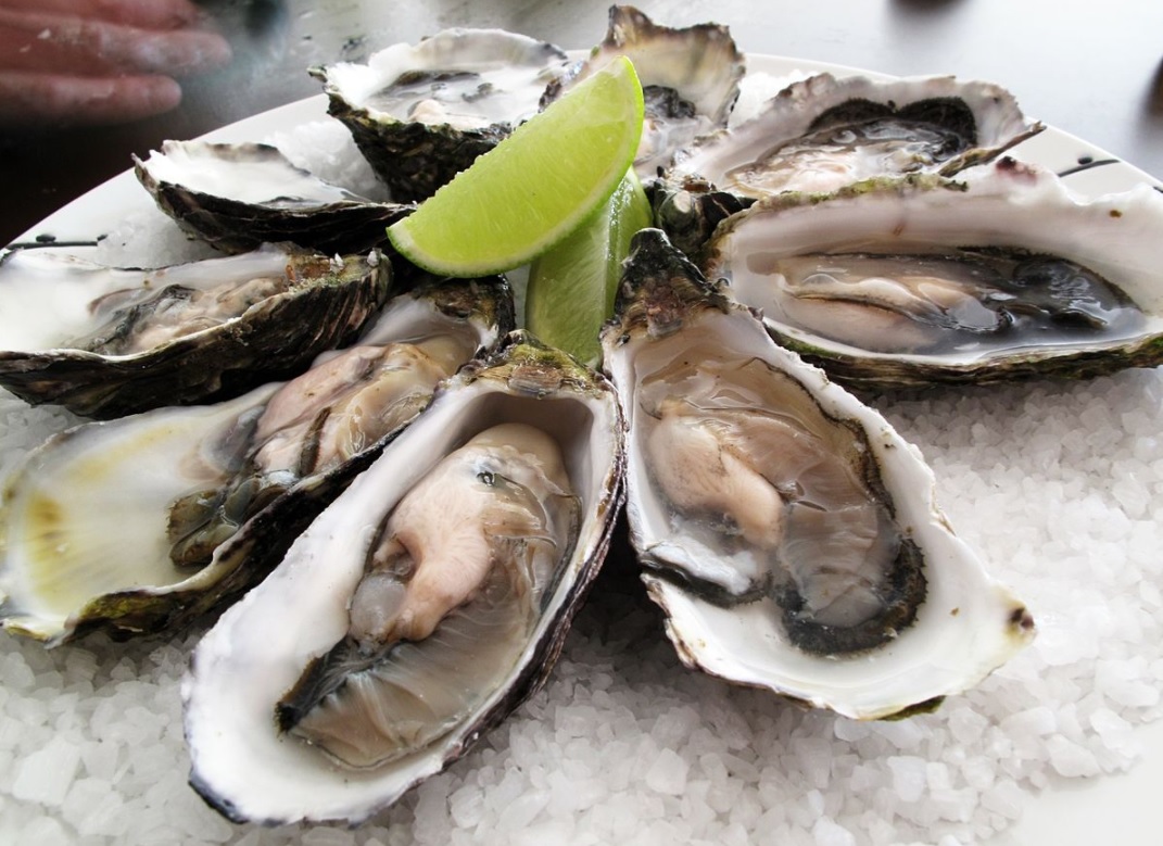 months to buy oysters