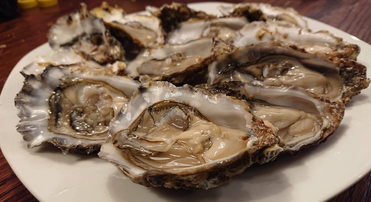 oysters price