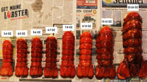 lobster tail sizes